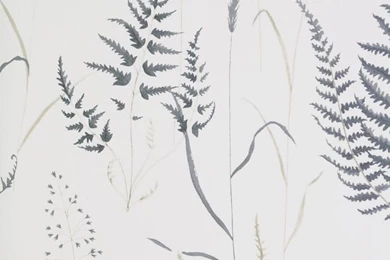 Botanica Wallpapers   Ebony (BOTANICAEBONYWP)   ILiv Botanica Ebony ...