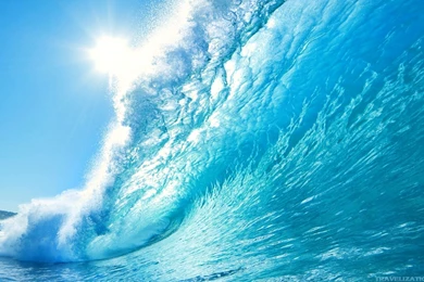 Download Eye Relaxing Wallpapers High Definition