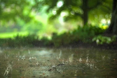 Eye Relaxing Wallpapers Photo