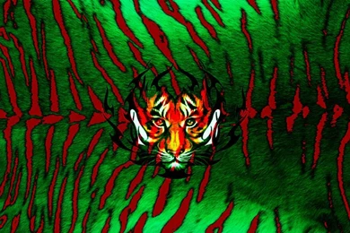 Wallpapers – Arts.nafSadh.com