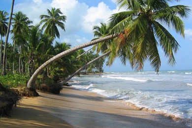 YouWall   Sightly Tropical Beach Wallpapers   Wallpaper,wallpapers ...