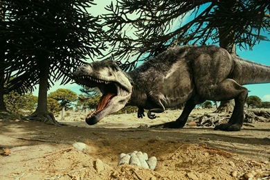 Argentina Dinosaurs HD Wallpapers   Downlad Dinosaurs HD ...