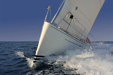 Tenerife Sailing Charters, The Luxury Way To See Whales And Dolphins