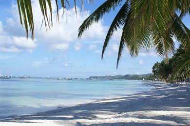 Tropical Beaches Wallpapers » WallDevil   Best Free HD Desktop And ...