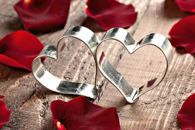 Two Heart Rings With Rose Petal HD Wallpapers