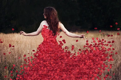 Red Rose Petals Dress With Girl Wallpaper,Red HD Wallpaper,Rose HD ...