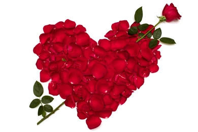 White_Wallpaper_with_Red_Rose_Petals_Heart_and_Rose.jpg?m=1399676400