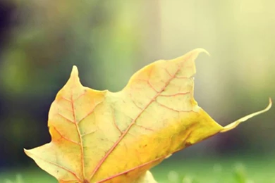 S5 Wallpapers HD, Galaxy S5 Wallpapers HD, 1080x1920 Wallpapers