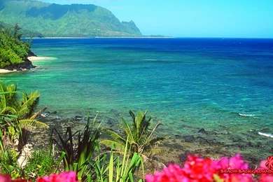 Tropical Beaches Season