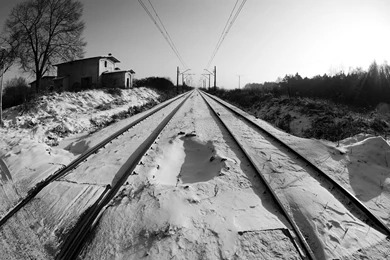 Download Free Modern Fisheye BW The Wallpapers 2560x1440