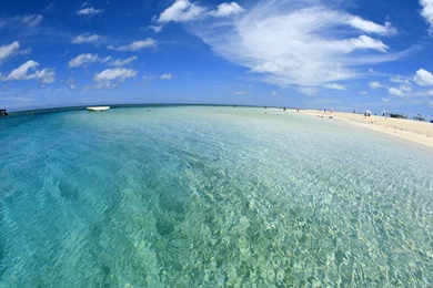 Wallpapers Beach Vector Art Fisheye 1366x768