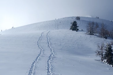 Top Ubuntu Wallpapers Folder Wallpapers