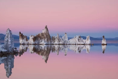 The Default 11 Wallpapers Of Ubuntu 14.04 Trusty Tahr Are Now ...