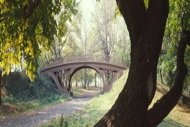 Download Free Iphone Wallpapers