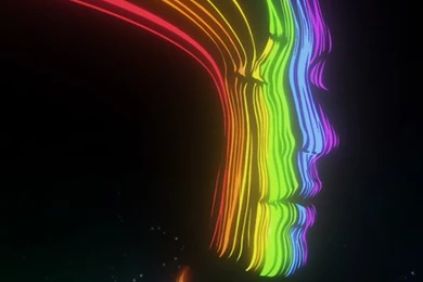 Dandelions Macro iPhone 5s Wallpapers Download