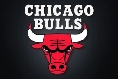 Chicago Bulls iPhone Wallpapers / IPod Wallpapers HD   Free Download