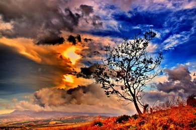 MsBuecherwuermchens Welt: Best Of Wallpapers:"social Wallpapering"