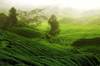 High Definition Wallpapers New HD Images