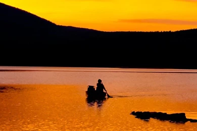 Nature Fantasy Purple Sunset iPhone 6 Wallpapers Download