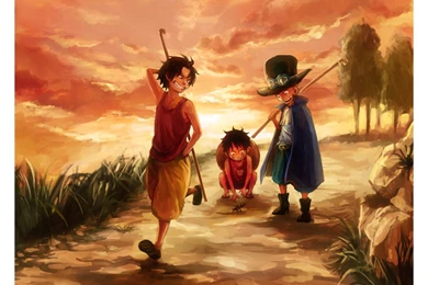 Luffy, Ace And Sabo   One Piece Wallpapers