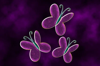 Fluttershy Cutie Mark Wallpapers V2 By PrelateZ On DeviantArt