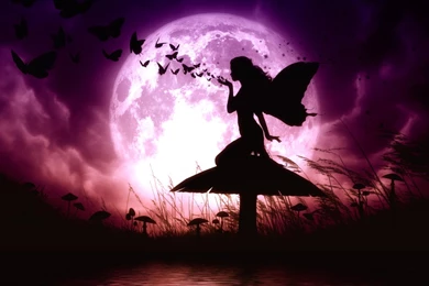 Fairy Wallpapers Collection (48+)