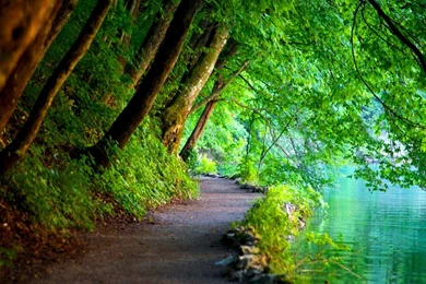 High Quality Nature Wallpapers