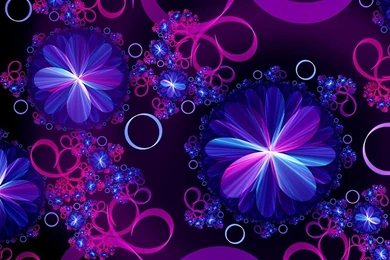 Bright Floral Celebration   (