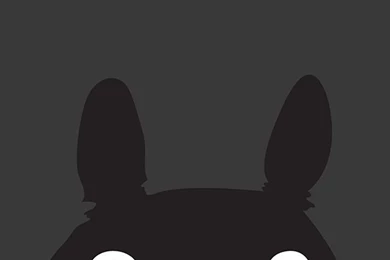 Freeios8.com iphone 4 5 6 plus ipad ios8 af44 totoro minimal art ...