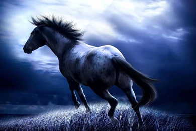 Wallpaper Hd Download For Android Mobile Mp3