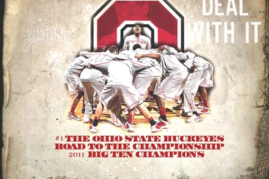 Wallpapers Buckeye Dearth Muzic World Com 1024x768