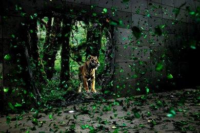 Hi Res Desktop Backgrounds