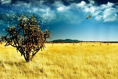 Wallpapers For Iphone Pictures M4B » WALLPAPERUN.COM