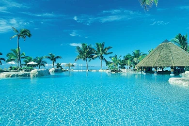 Summer Season Wallpapers   Crazy Frankenstein