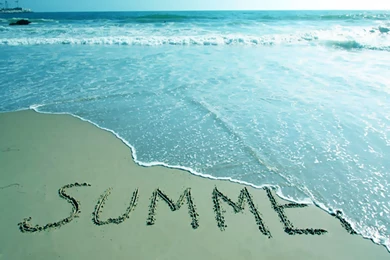 Last Summer Wallpapers   Crazy Frankenstein