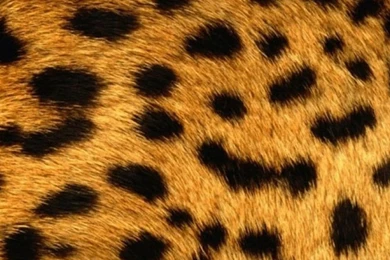 HTC One Max Texture Wallpapers 100, HTC One Wallpapers HD