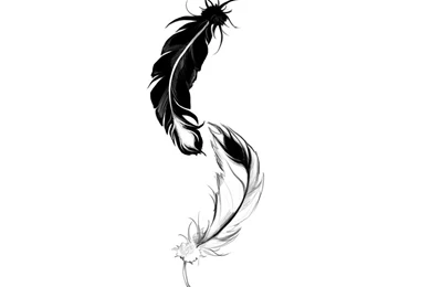 Free Designs Feathers Connected Tattoo Wallpapers