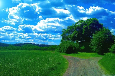 Army Ranger Widescreen Wallpapers : Other Wallpapers   LocaLwom