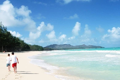 Landscapes Nature Summer Widescreen Wallpapers