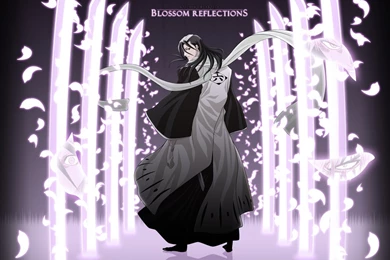 Black White Anime Bleach Wallpapers Hd