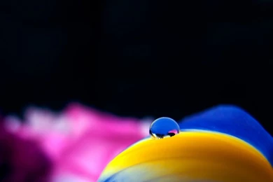 A Drop Of Water Best HD Wallpapers Hebus.org High Definition ...