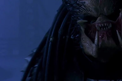 You're A Yautja With A Big Ugly Face ! By Grisador On DeviantArt