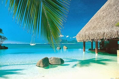 Top Tahiti Wallpapers Top Wallpapers