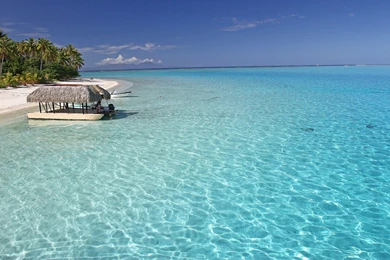 Perfect Aqua Blue Sea Off Bora Bora Tropical Paradise Isl Tahiti ...