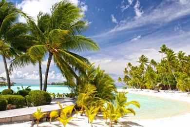 Pearl Beach Resort Bora Bora Tahiti Desktop Backgrounds 59763 ...