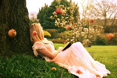 Reading A Book Under A Tree HD Desktop Wallpapers : High Definition ...