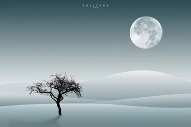 Alayx WAllpaper: Tree Wallpapers