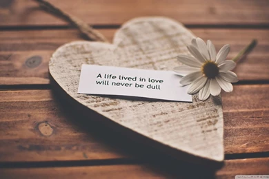 Why You Should Just Give Up – Tested Love