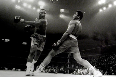 Thumbnail4412, Boxing