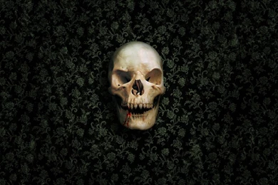 Download Wallpapers 1280x960 Skull, Skeleton, Wall, Green, Dark ...